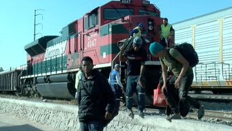 Viajar en Tren: Riesgo que Vale la Pena, Según Migrantes