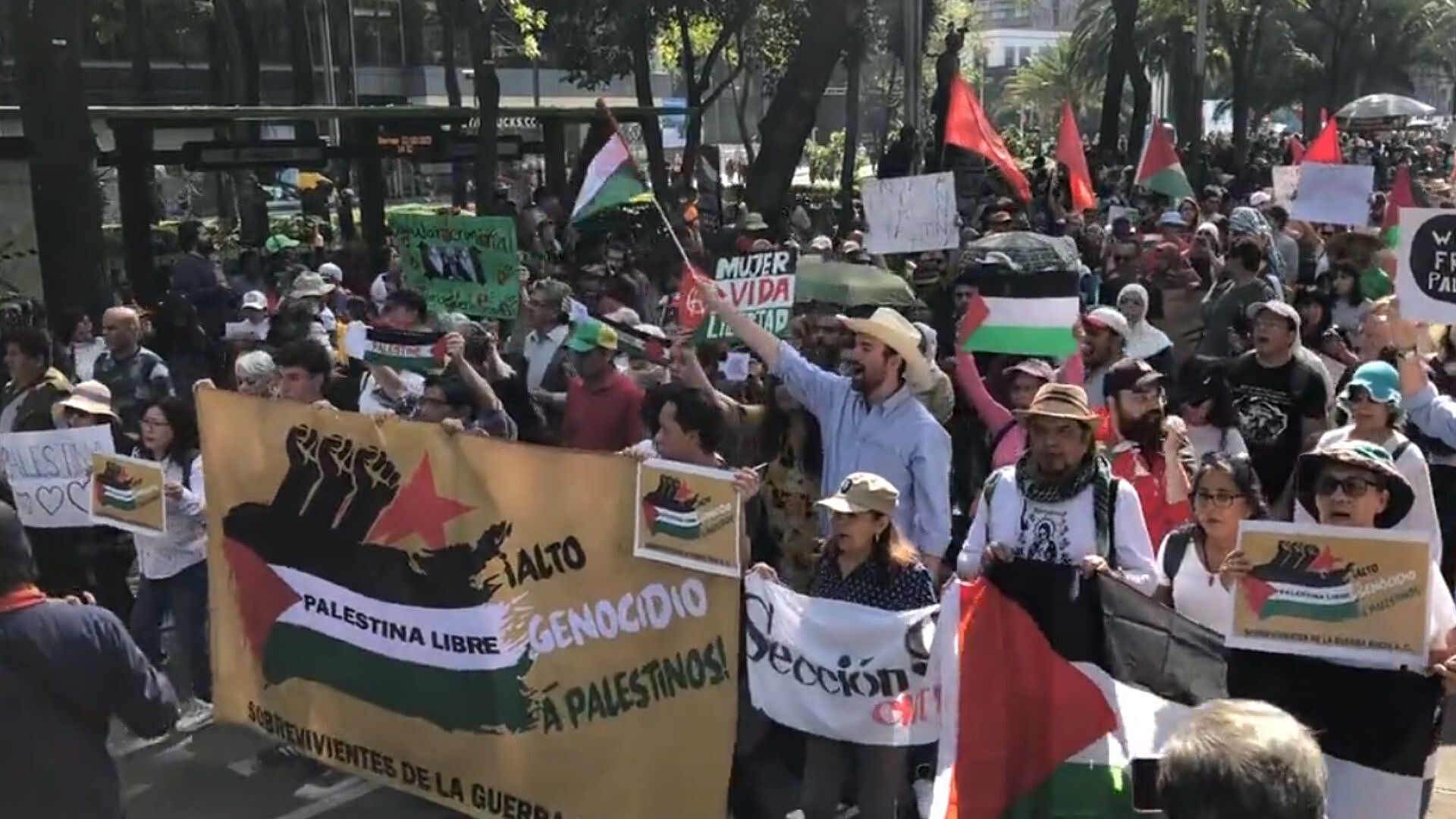 Realizan Marcha en CDMX en Apoyo a Palestina