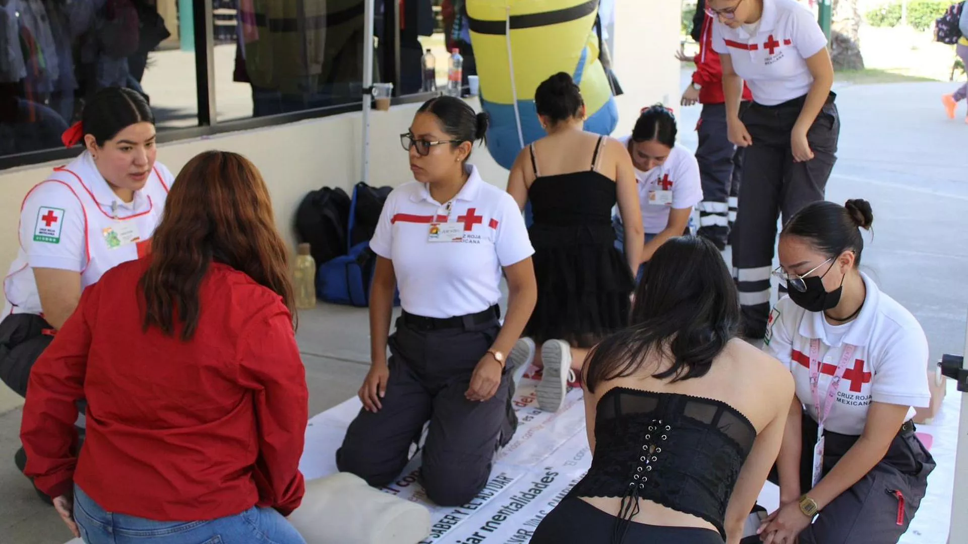 Imagen del video