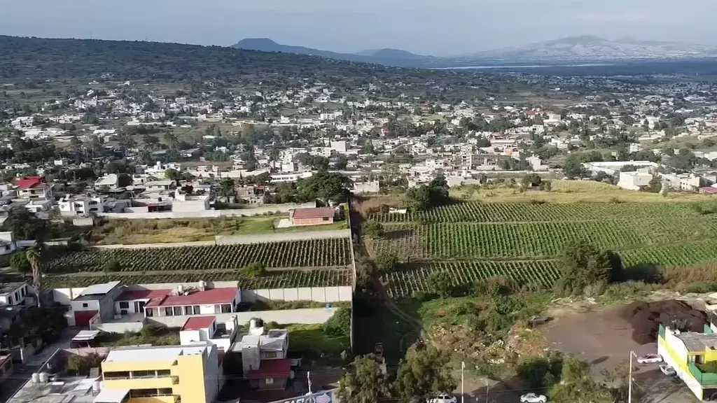 Agricultores Del Oro Verde