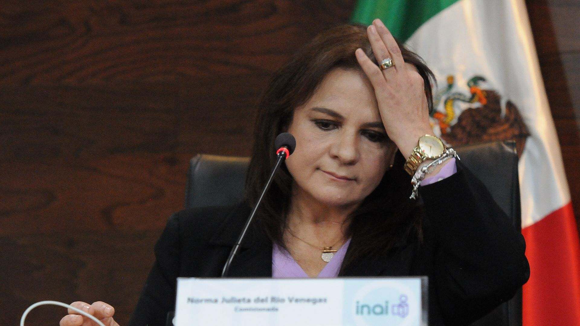 FOTO: Comisionada del INAI