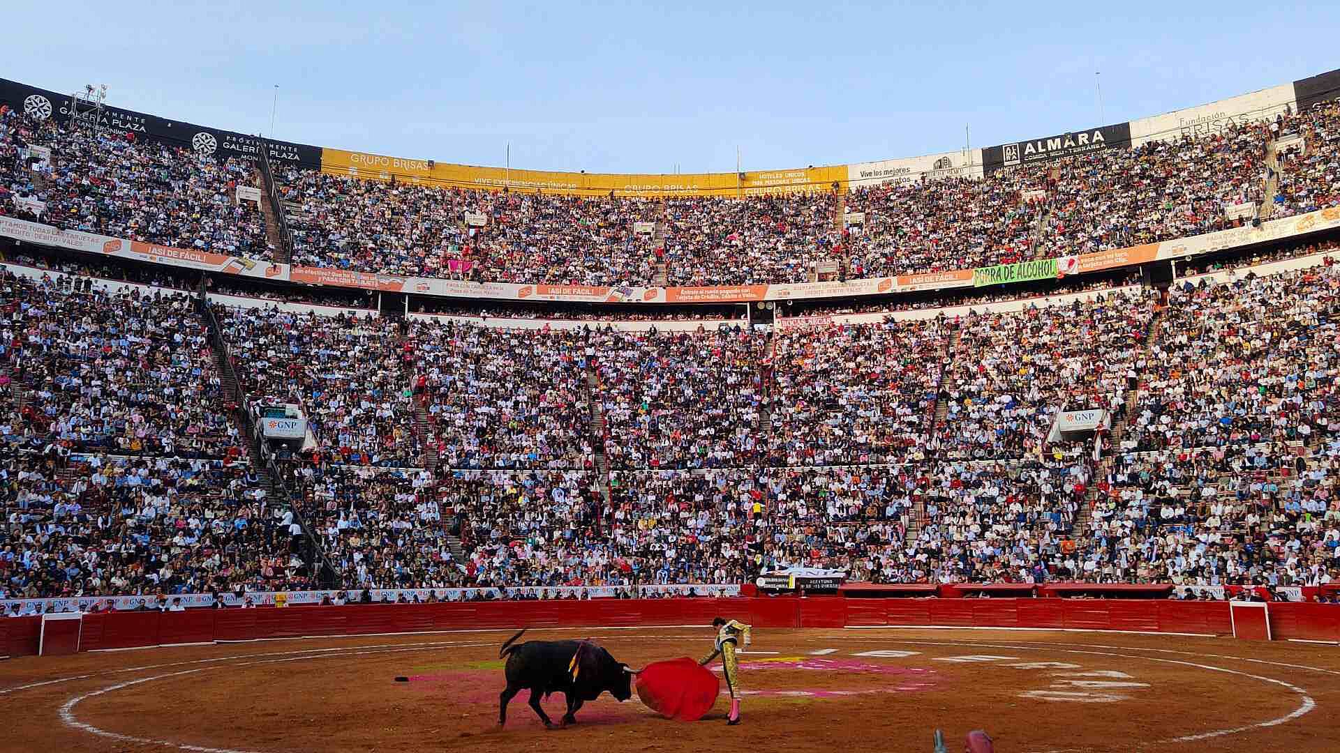 Foto: Suspenden Corridas de Toros en La Plaza México, Provisionalmente